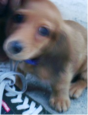 甘えん坊ちゃん