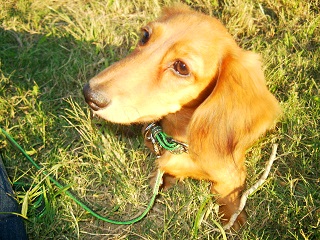 何かくれるかな？