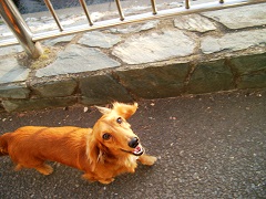 歩くのたのしいね♪