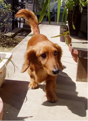 のんびり日向ぼっこ