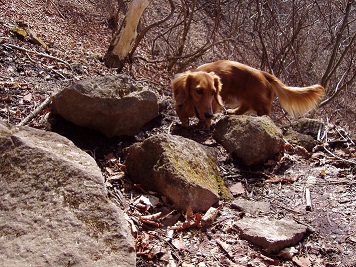 山登りって楽しいねっ！